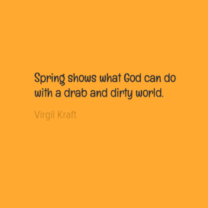 springshowswhatgodcando0awithadrabanddirtyworld0a-default